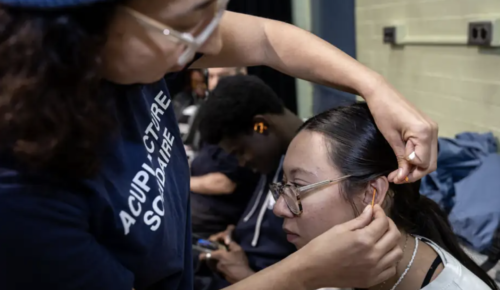 Une acupunctrice place des aiguilles sur l'oreille d'une patient lors d'une clinique solidaire